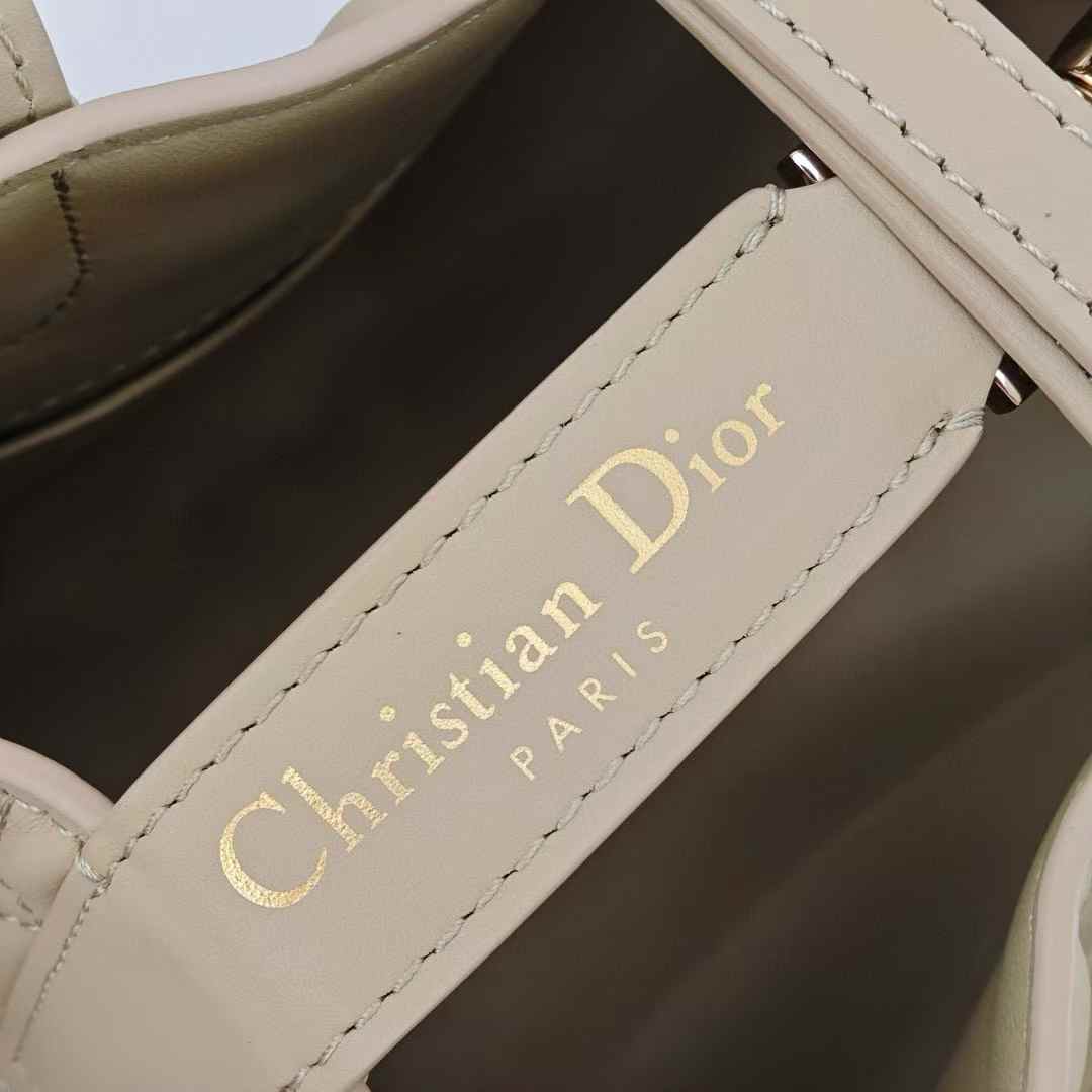 Dior Toujours Vertical Tote Bag view 12