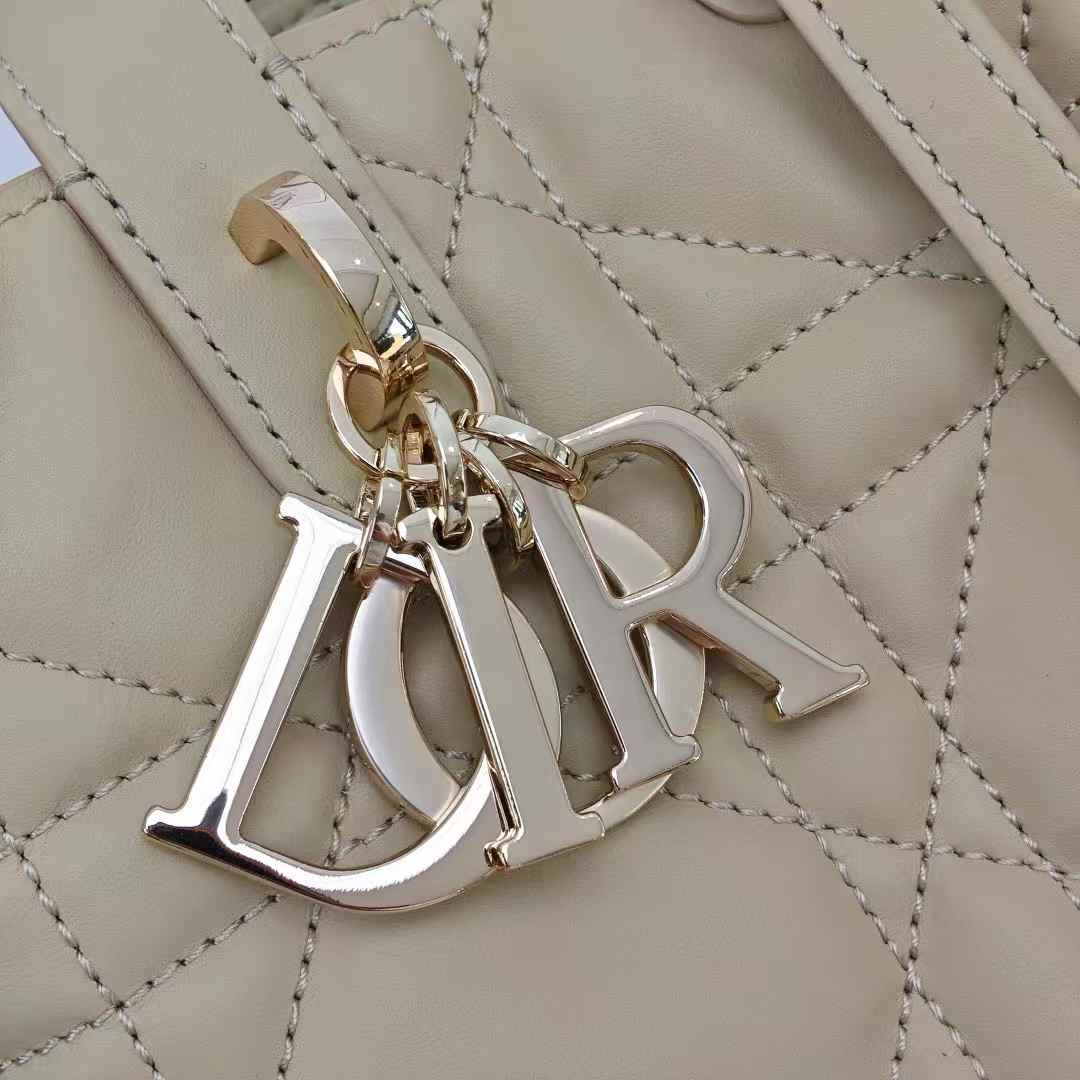 Dior Toujours Vertical Tote Bag view 13