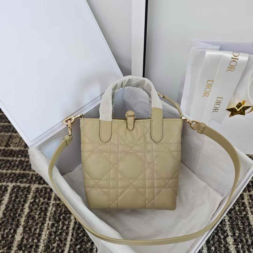 Dior Toujours Vertical Tote Bag view 2