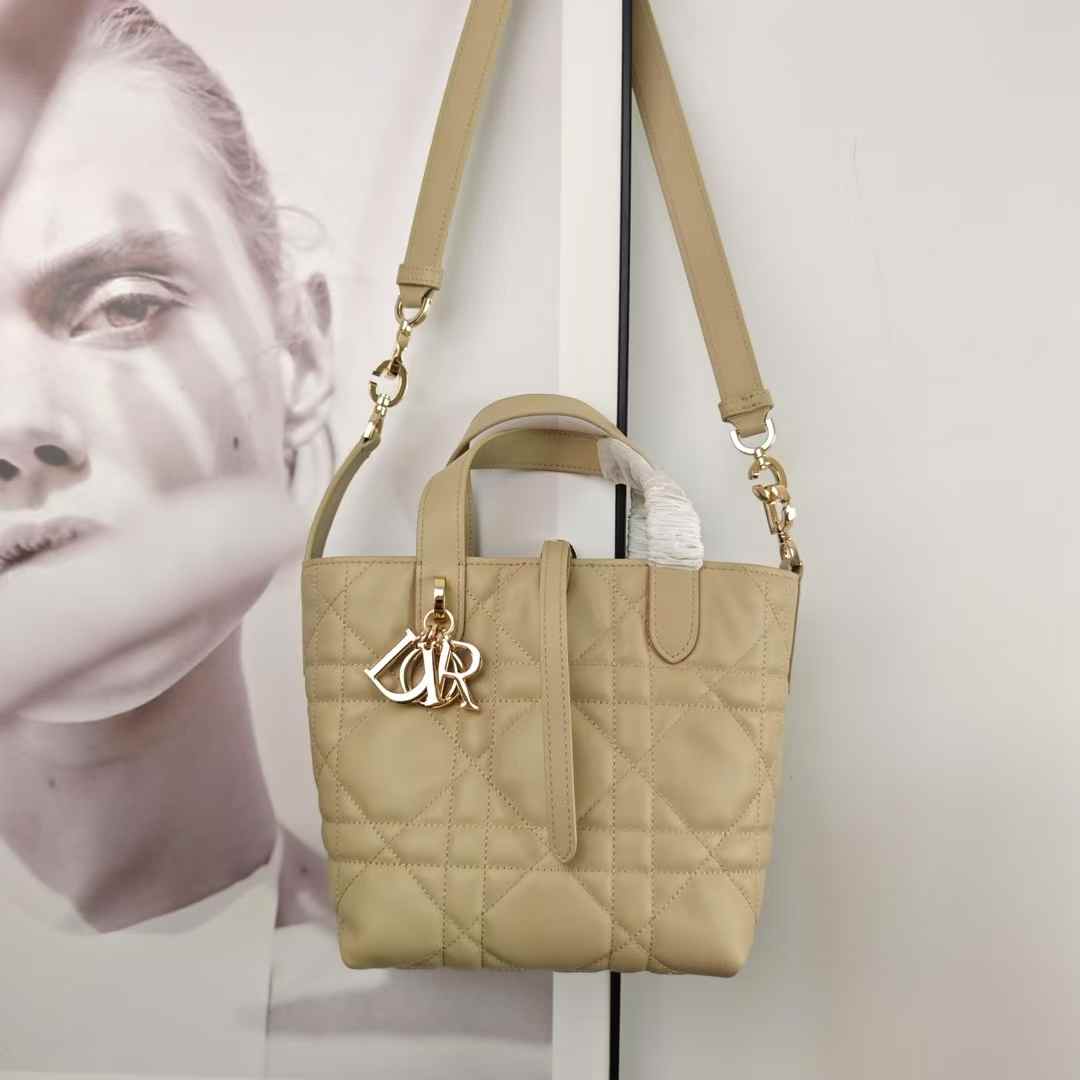 Dior Toujours Vertical Tote Bag view 7