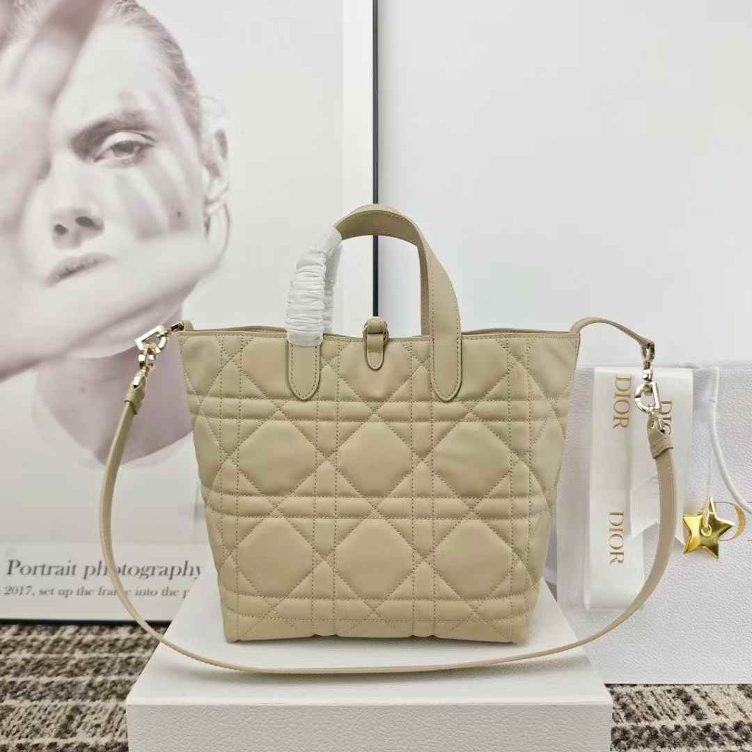 Dior Toujours Vertical Tote Bag view 8