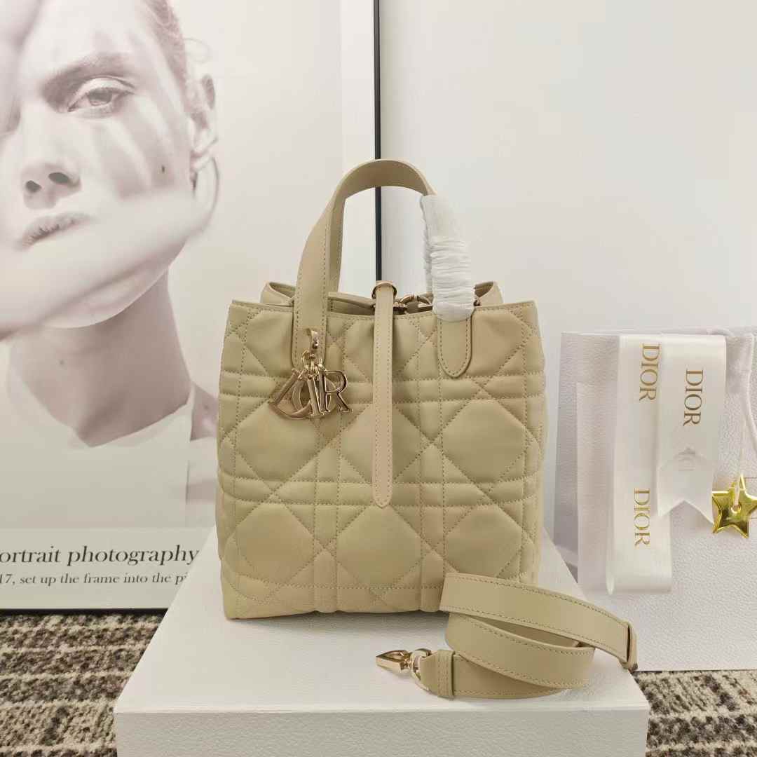 Dior Toujours Vertical Tote Bag view 9