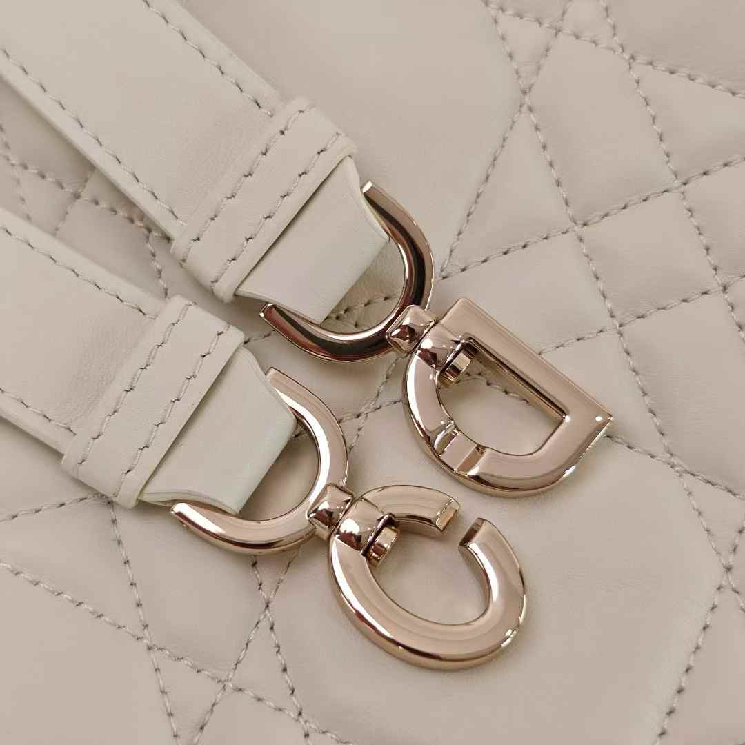 Dior Toujours Vertical Tote Bag view 10