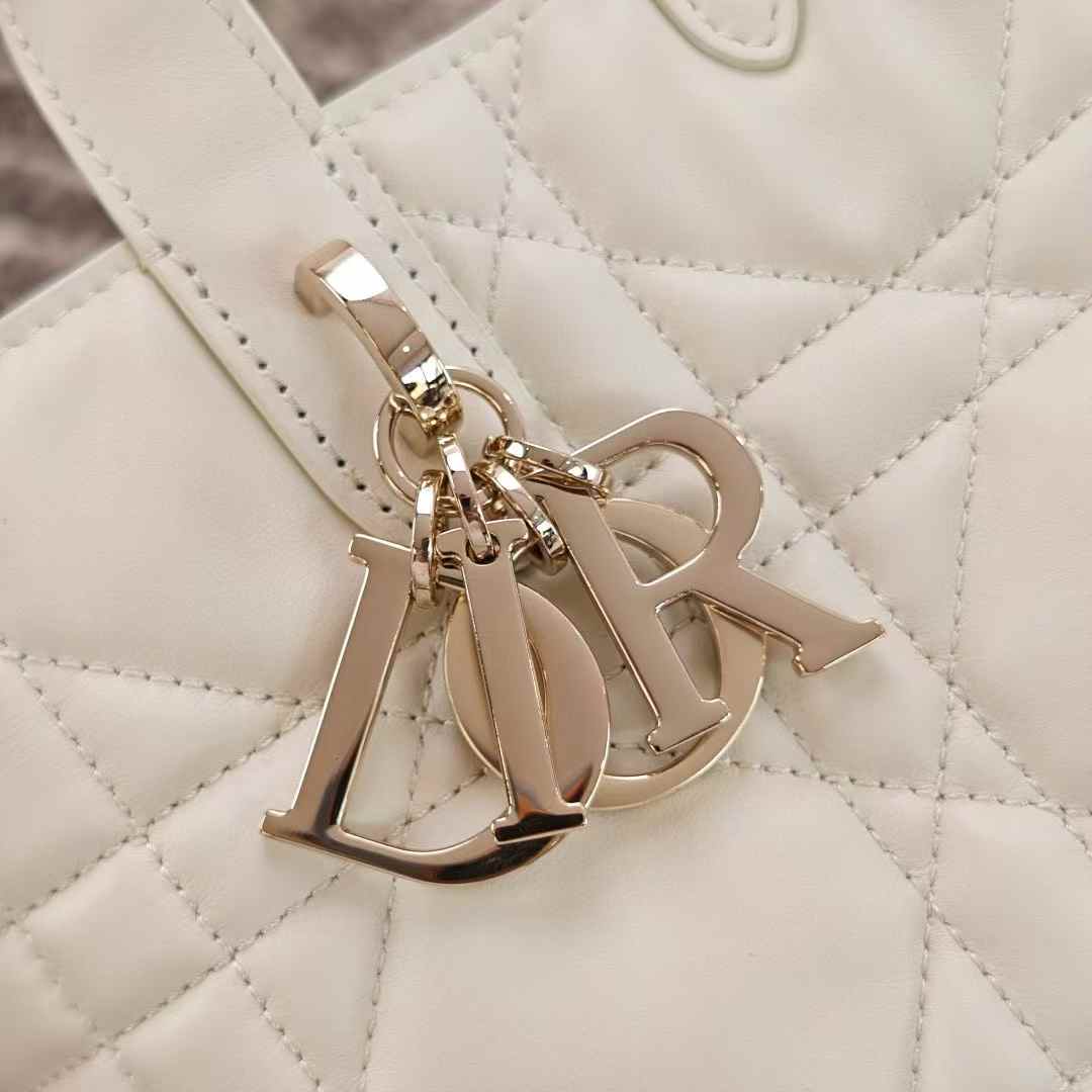 Dior Toujours Vertical Tote Bag view 11