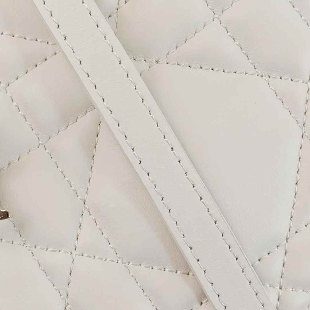 Dior Toujours Vertical Tote Bag view 12