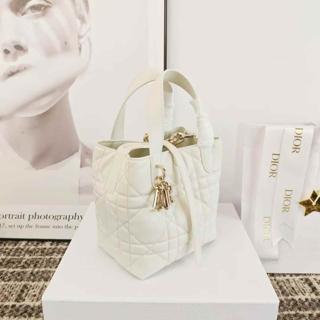 Dior Toujours Vertical Tote Bag view 4
