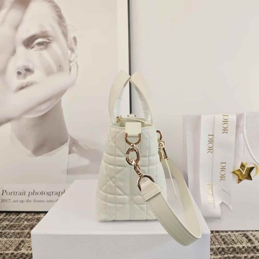 Dior Toujours Vertical Tote Bag view 5