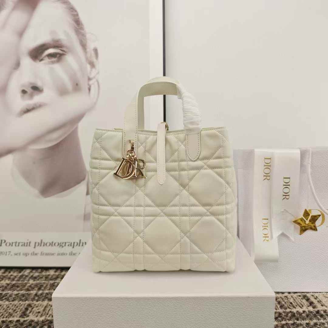 Dior Toujours Vertical Tote Bag view 6