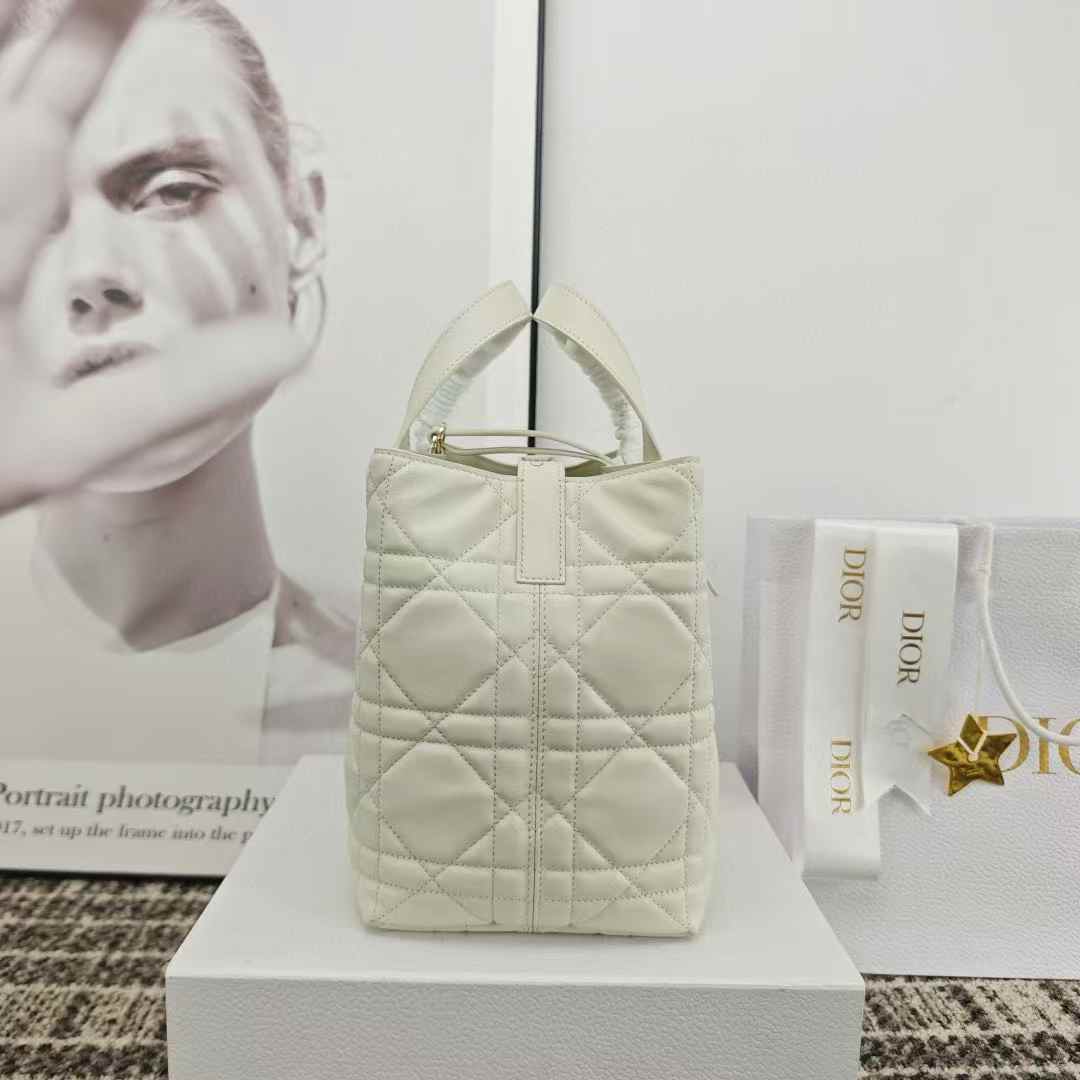 Dior Toujours Vertical Tote Bag view 8