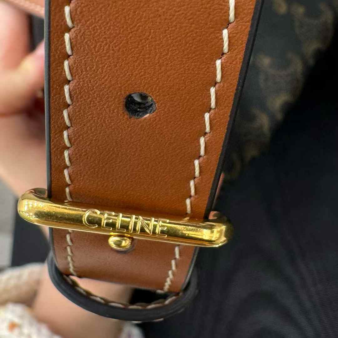 Celine Teen Lulu In Triomphe Canvas And Calfskin view 7