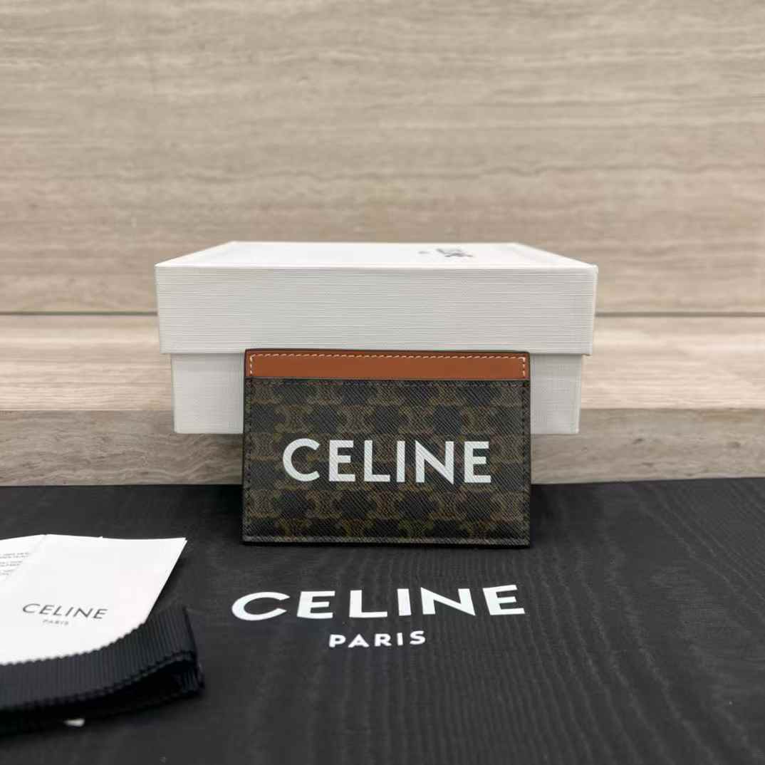 Celine Card holder in Triomphe canvas with Print view 1