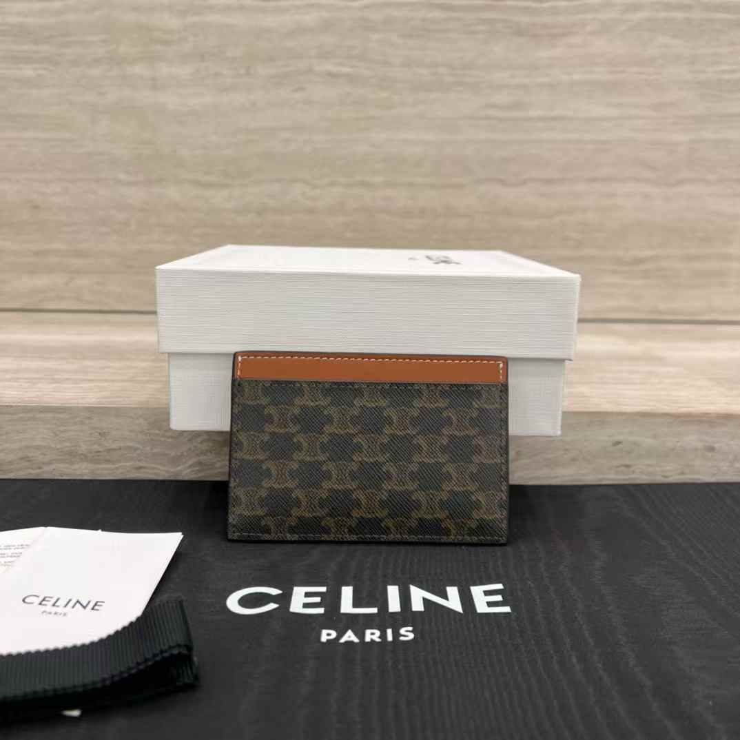 Celine Card holder in Triomphe canvas with Print view 2