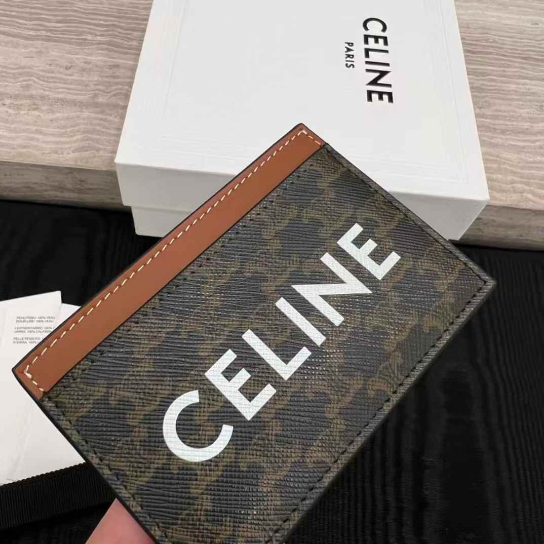 Celine Card holder in Triomphe canvas with Print view 3