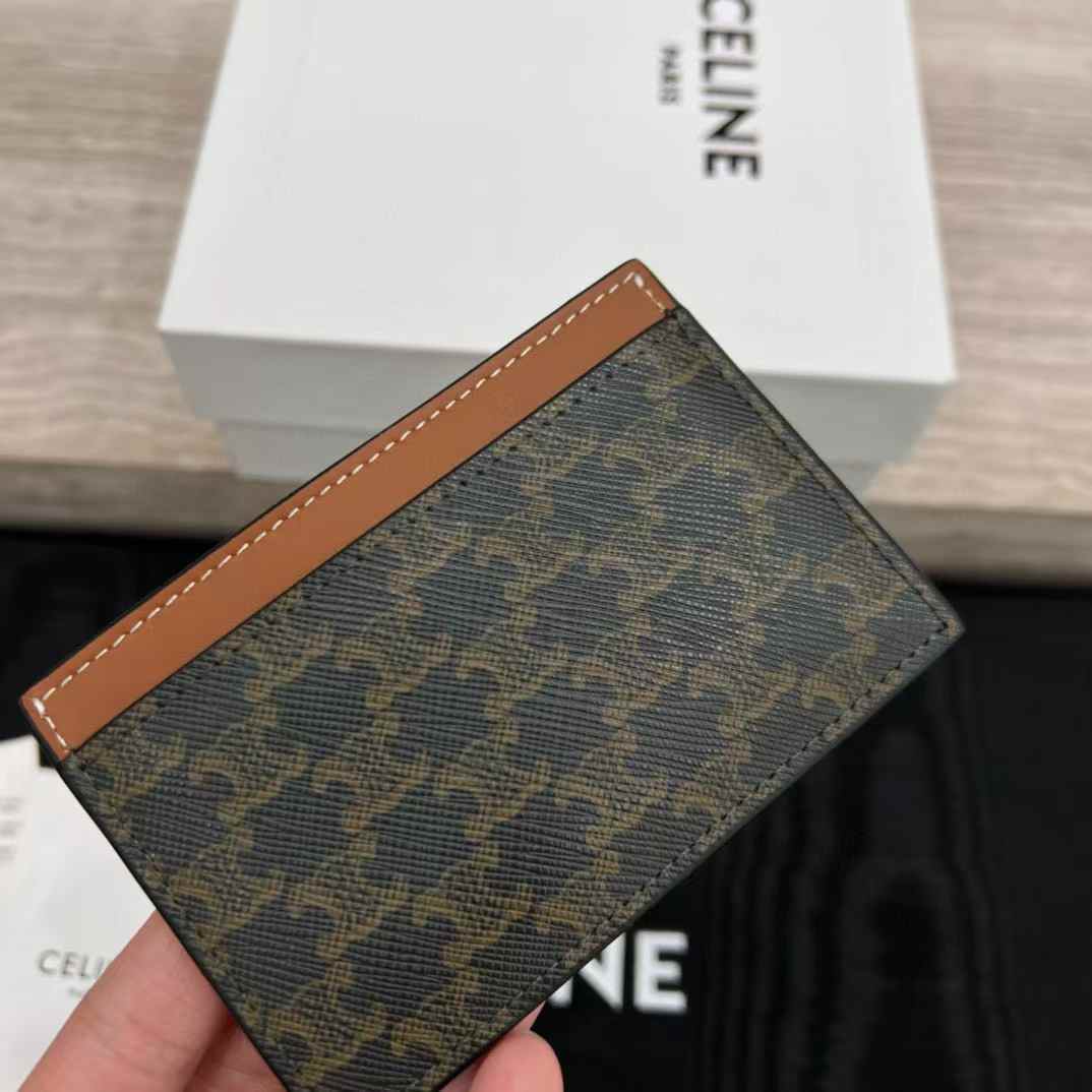 Celine Card holder in Triomphe canvas with Print view 4