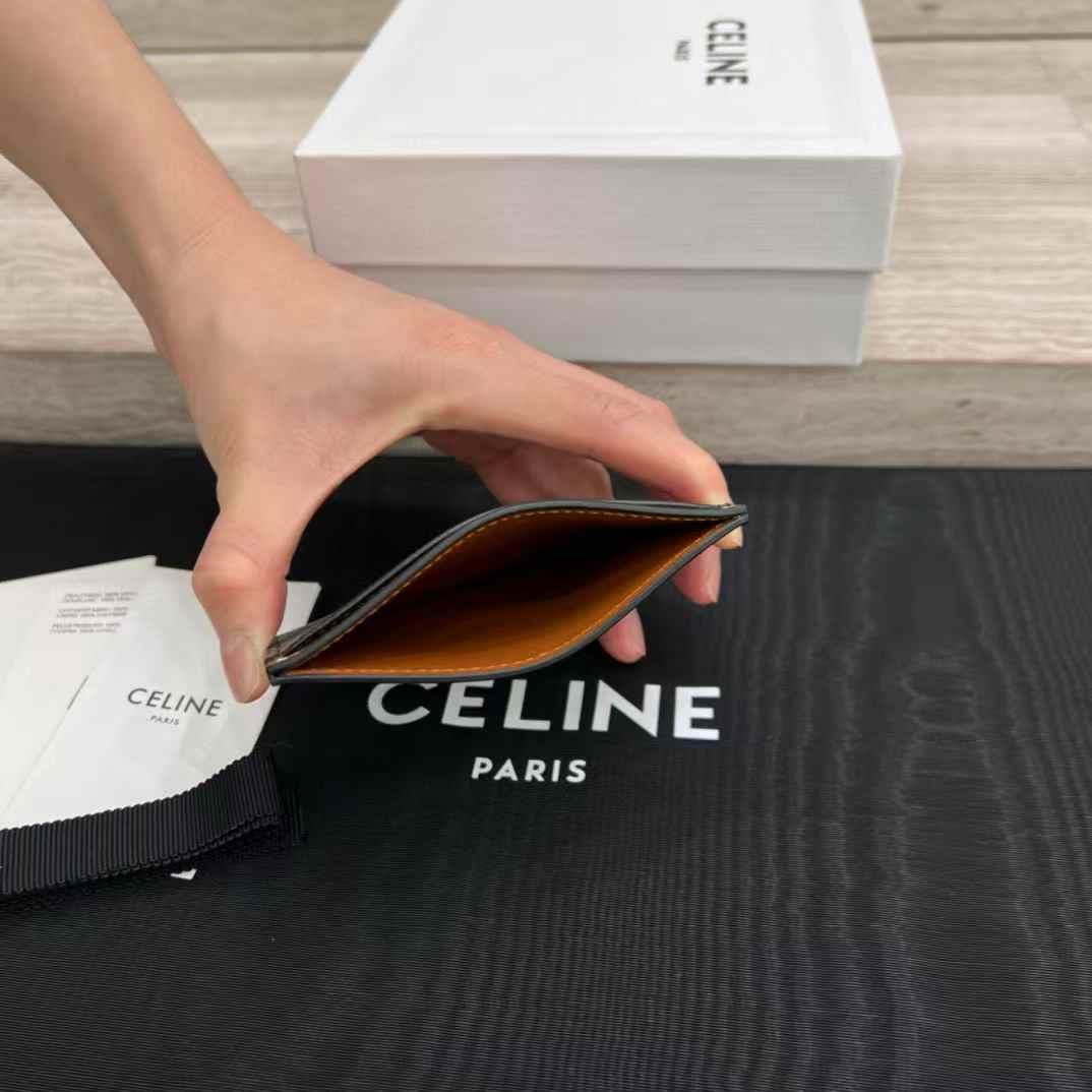 Celine Card holder in Triomphe canvas with Print view 5