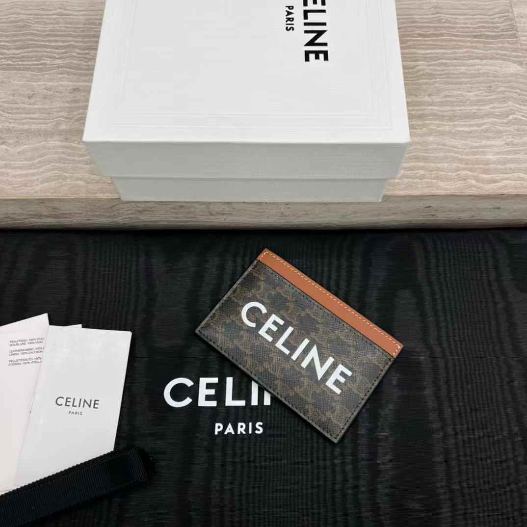 Celine Card holder in Triomphe canvas with Print view 6