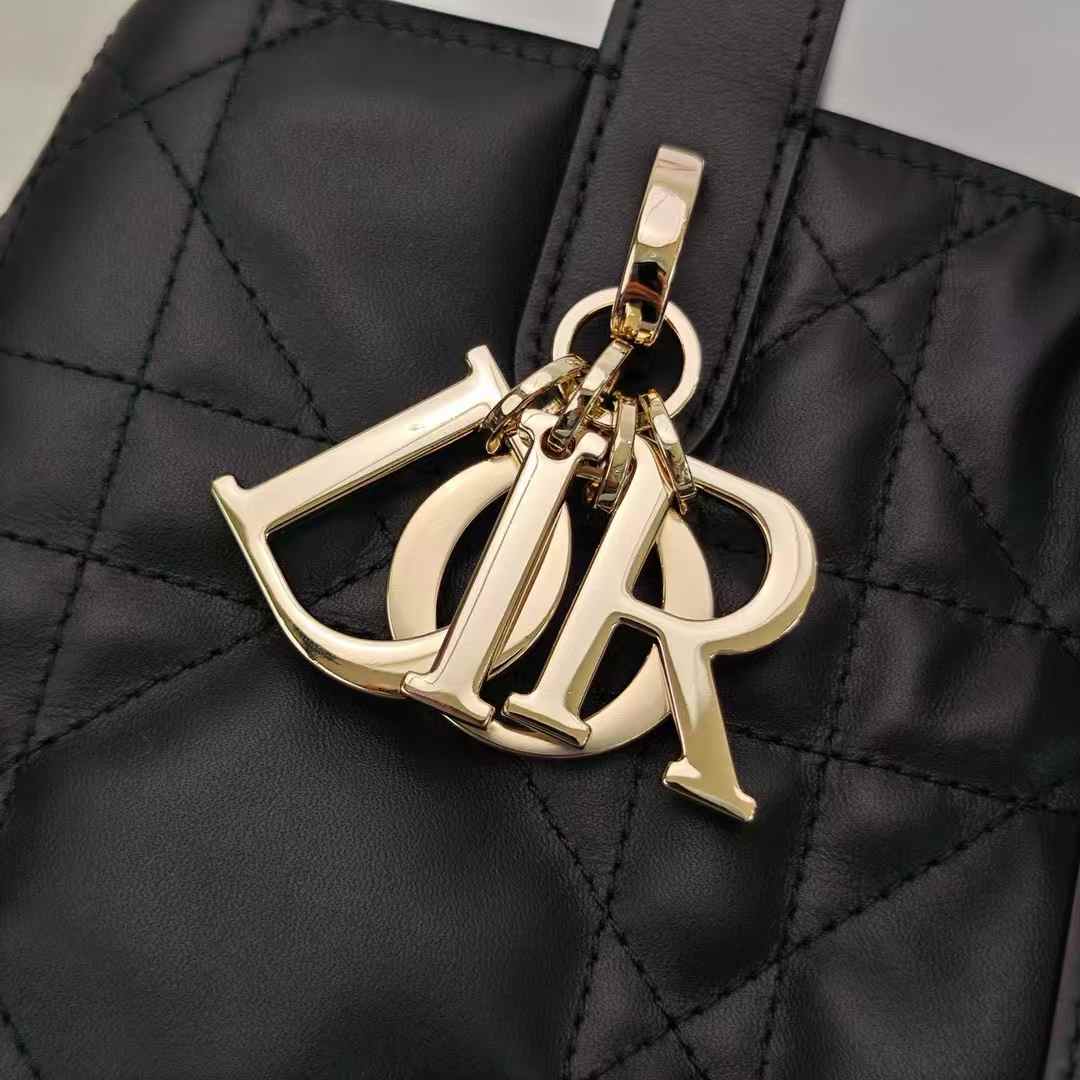 Dior Toujours Vertical Tote Bag view 4