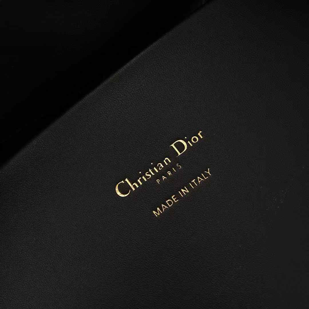 Dior Toujours Vertical Tote Bag view 5