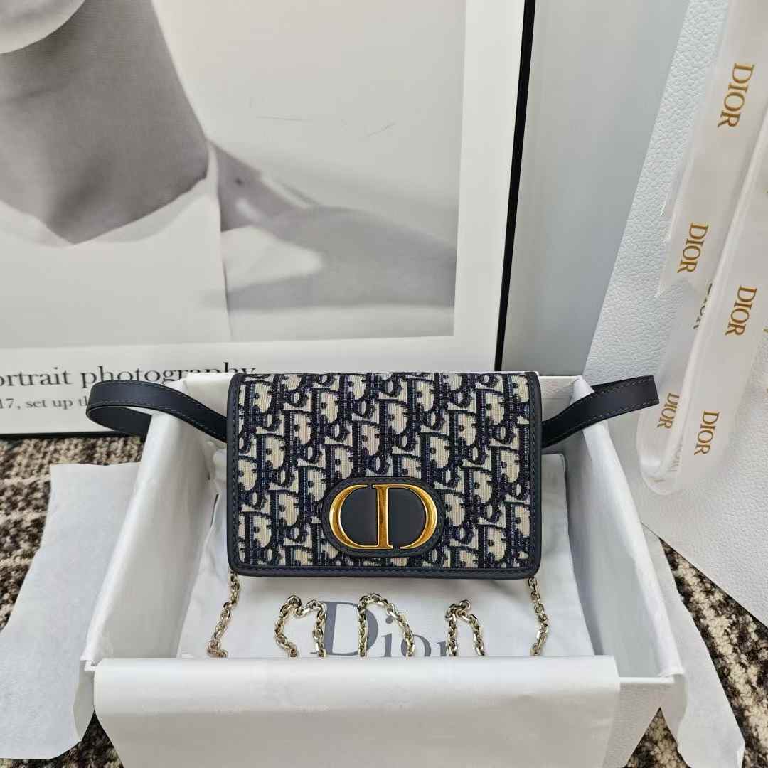 Dior Oblique BAG view 1