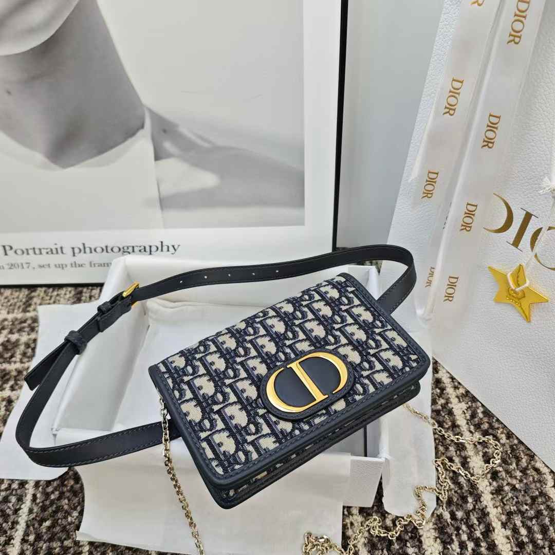 Dior Oblique BAG view 2