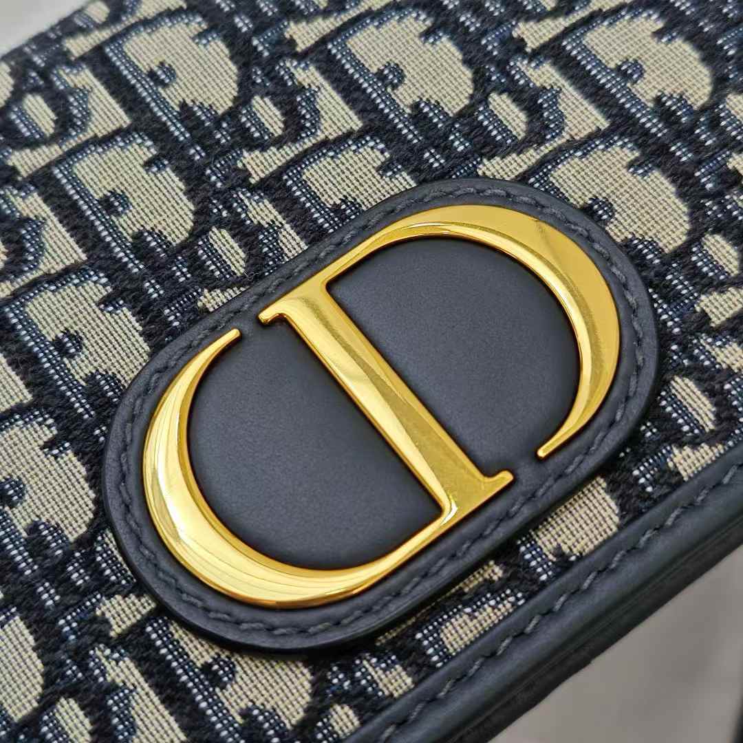 Dior Oblique BAG view 3