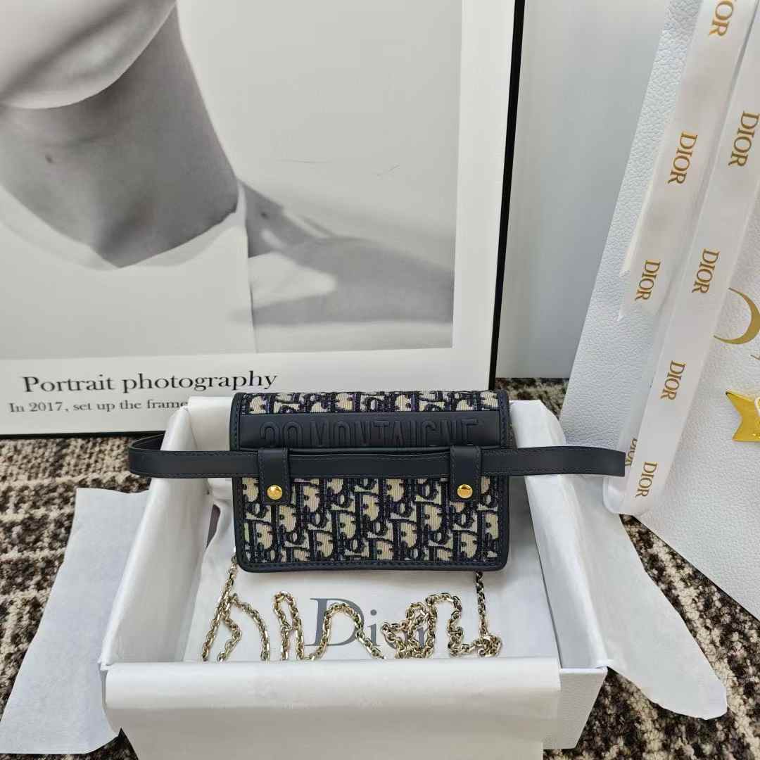Dior Oblique BAG view 4