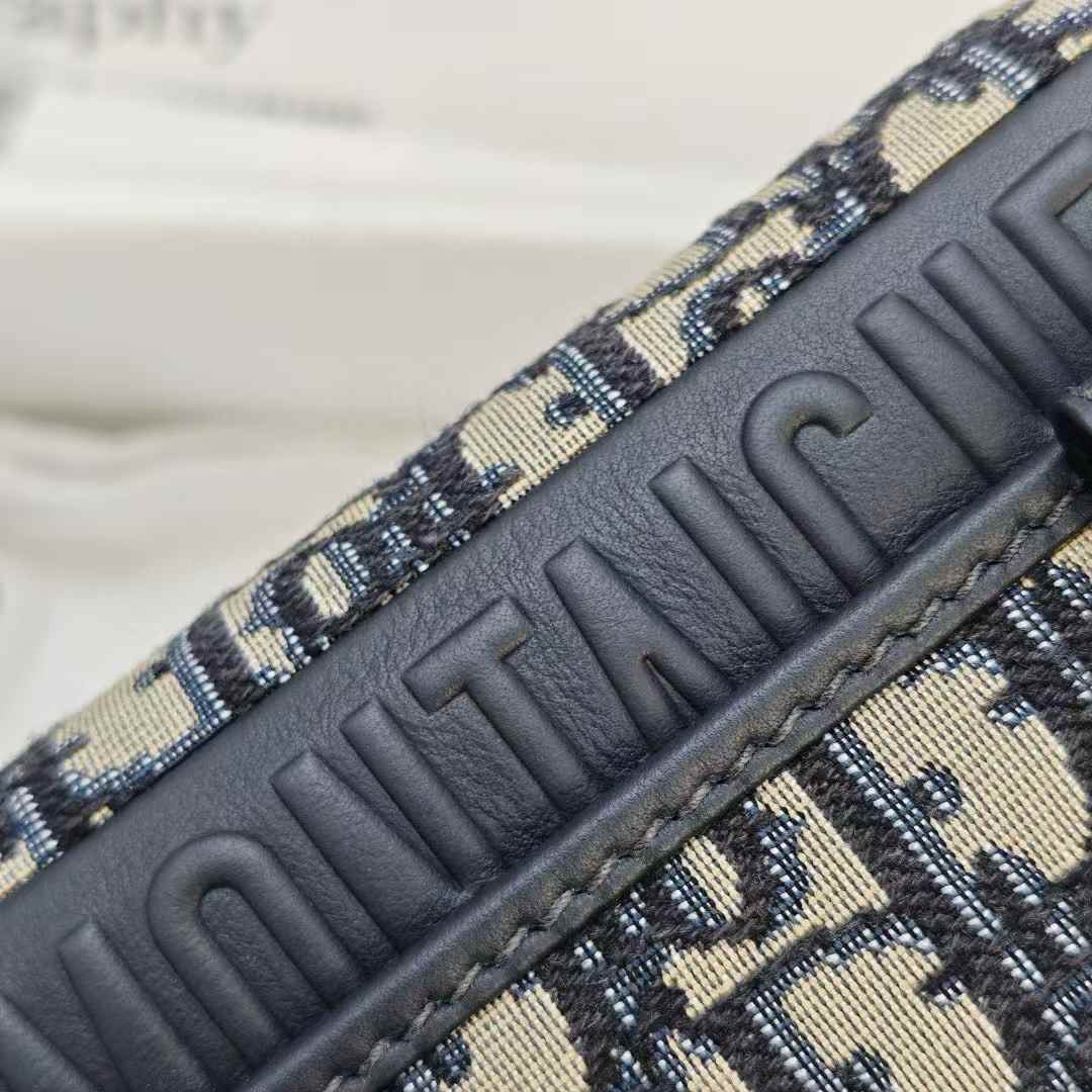 Dior Oblique BAG view 5