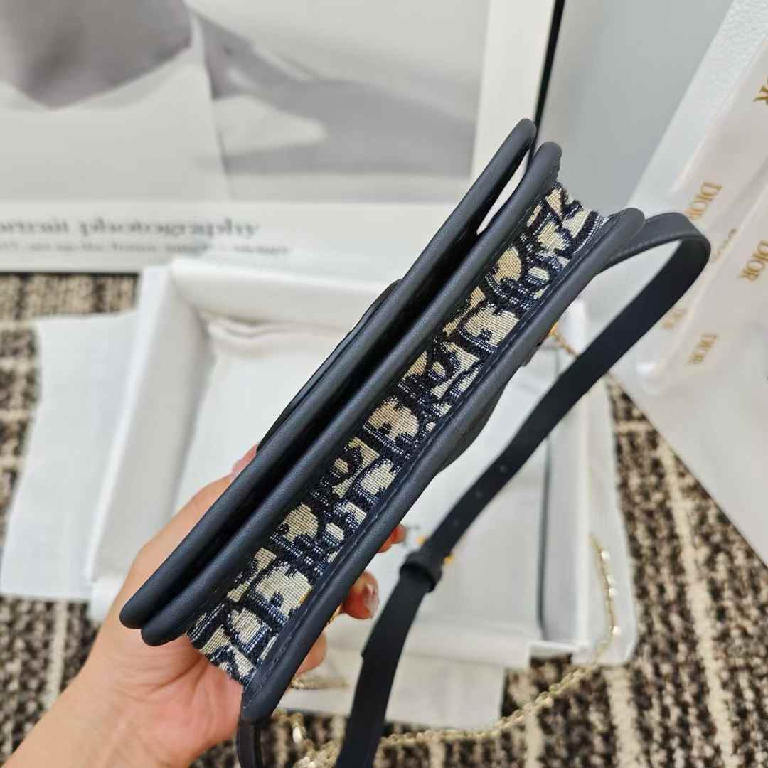 Dior Oblique BAG view 6