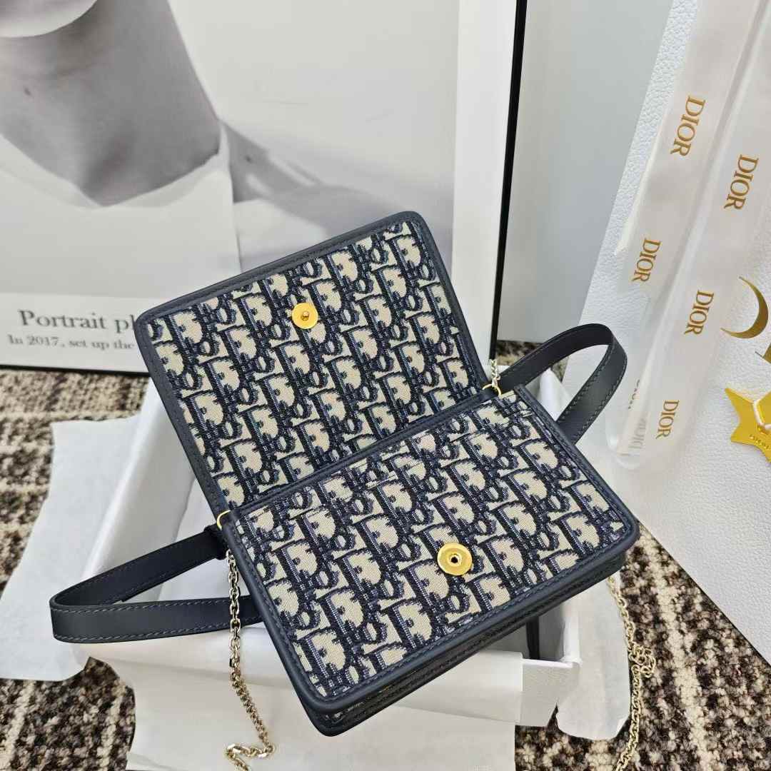 Dior Oblique BAG view 7