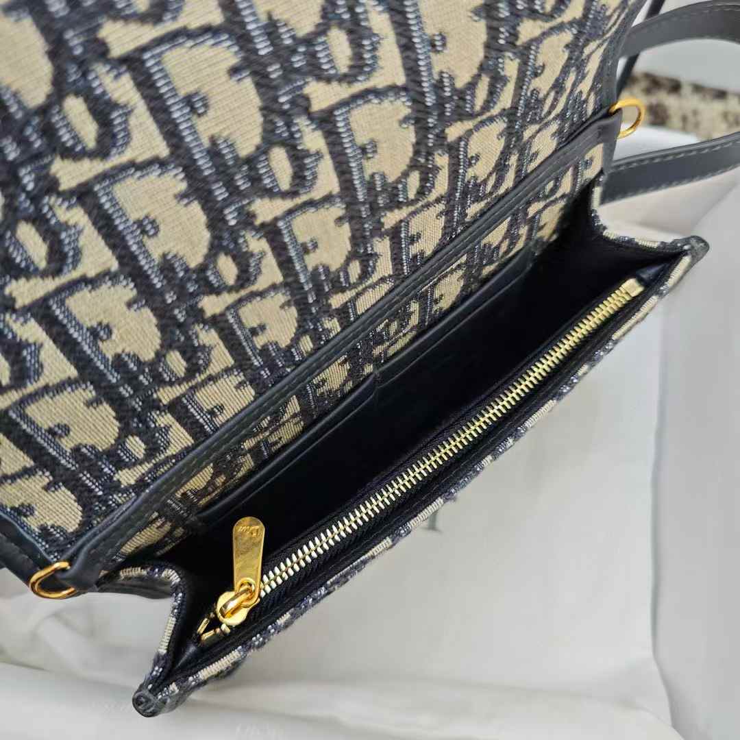 Dior Oblique BAG view 8