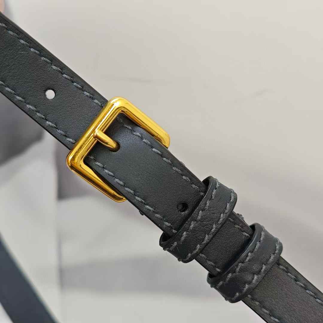 Dior Oblique BAG view 9