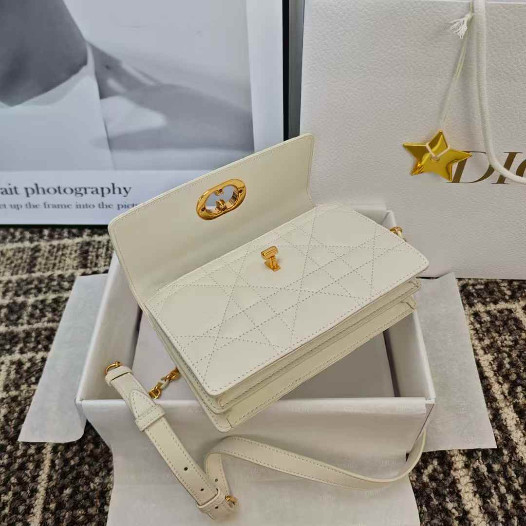 Dior Miss Caro Mini Bag view 5