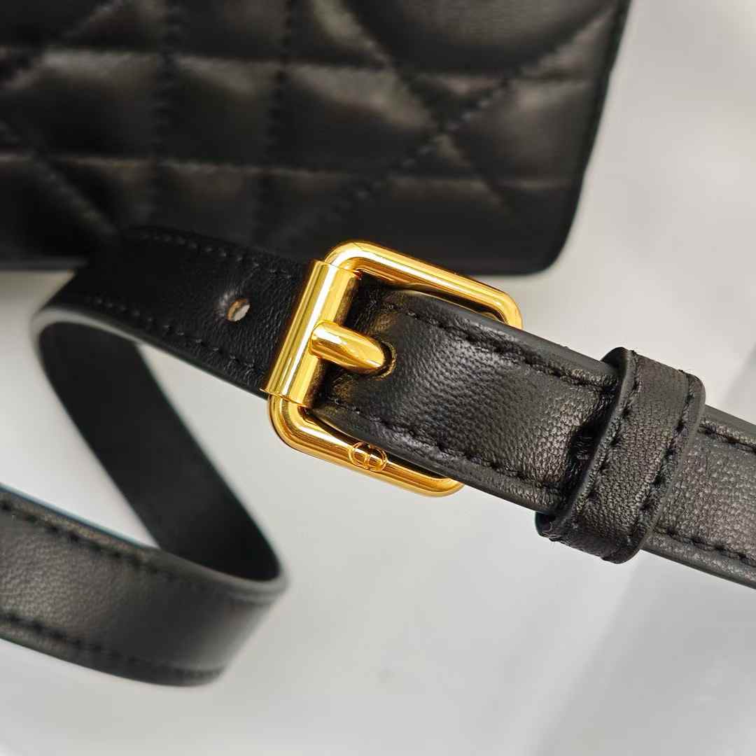 Dior Miss Caro Mini Bag view 6