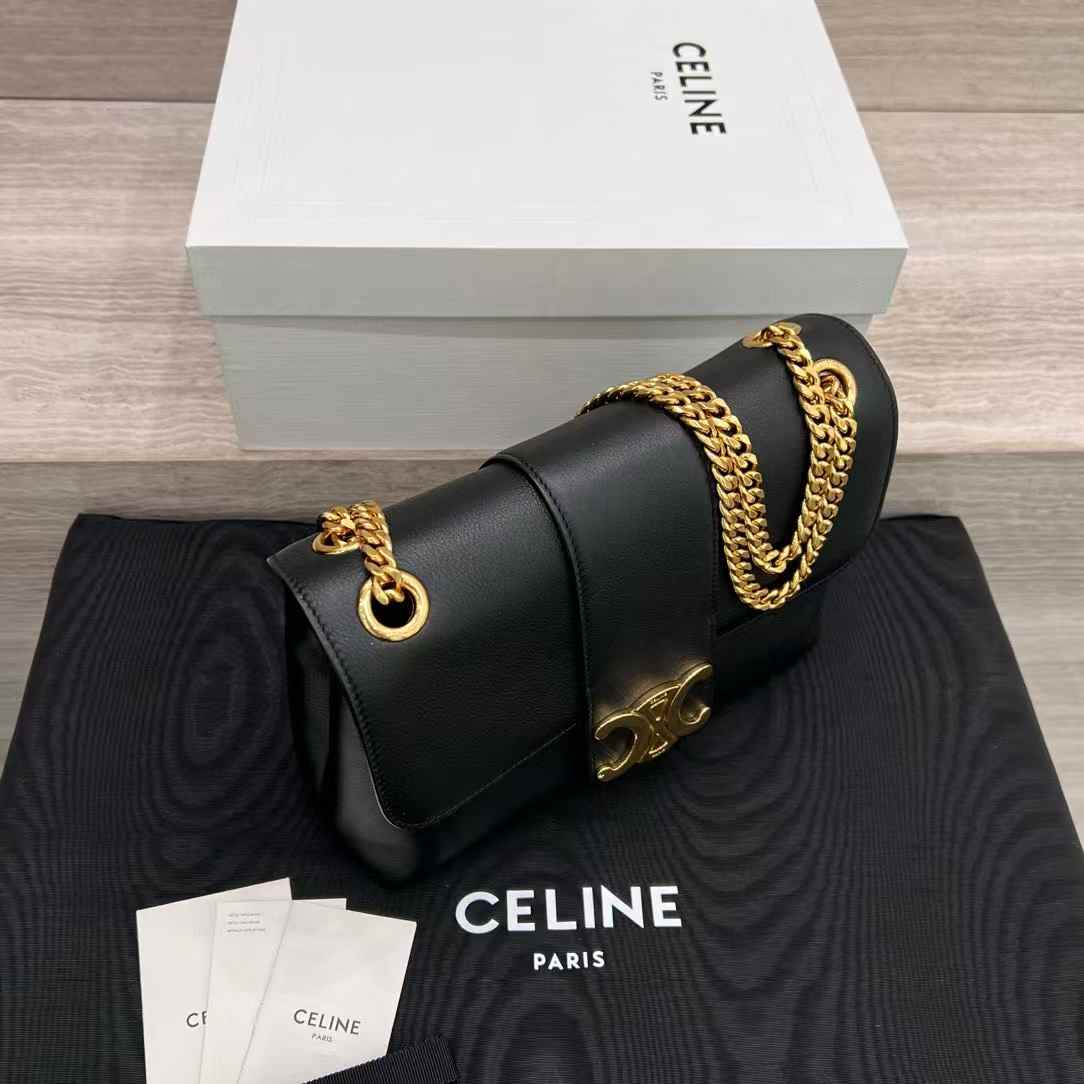 Celine Teen Victoire Bag In Supple Grained Calfskin view 7