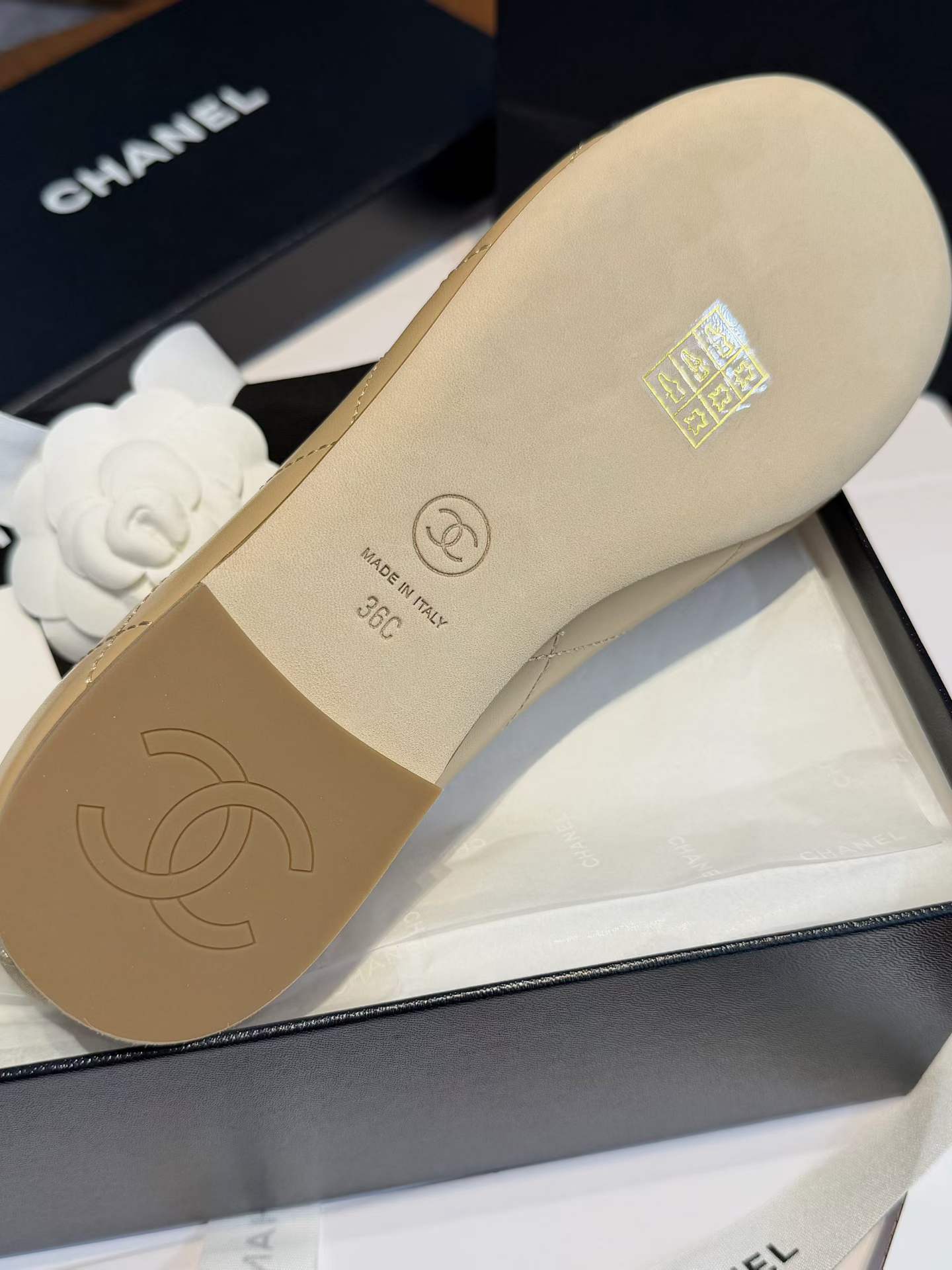 Chanel 26C Kangpeng ballet shoes view 6