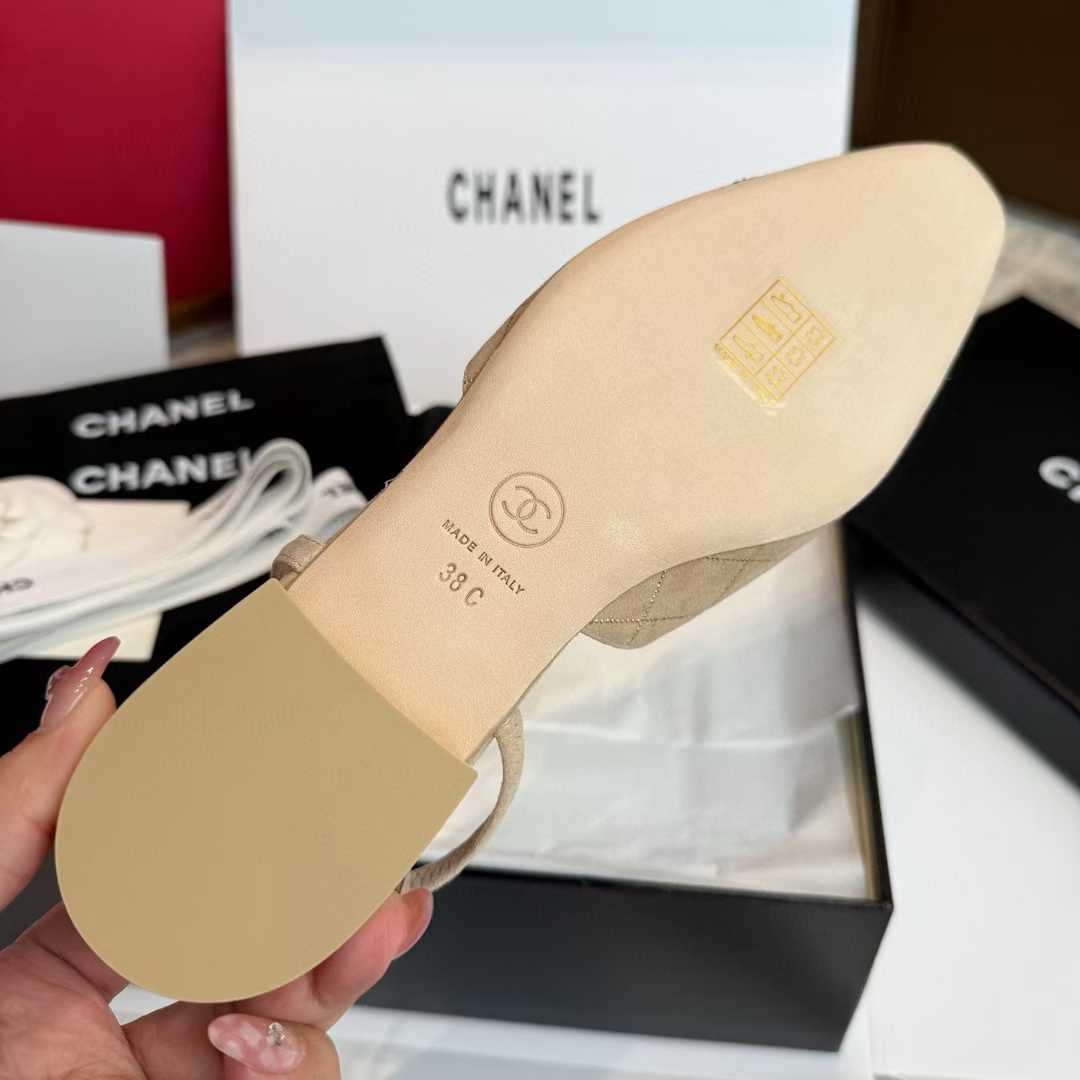 Chanel 25C Ballet shoes view 27
