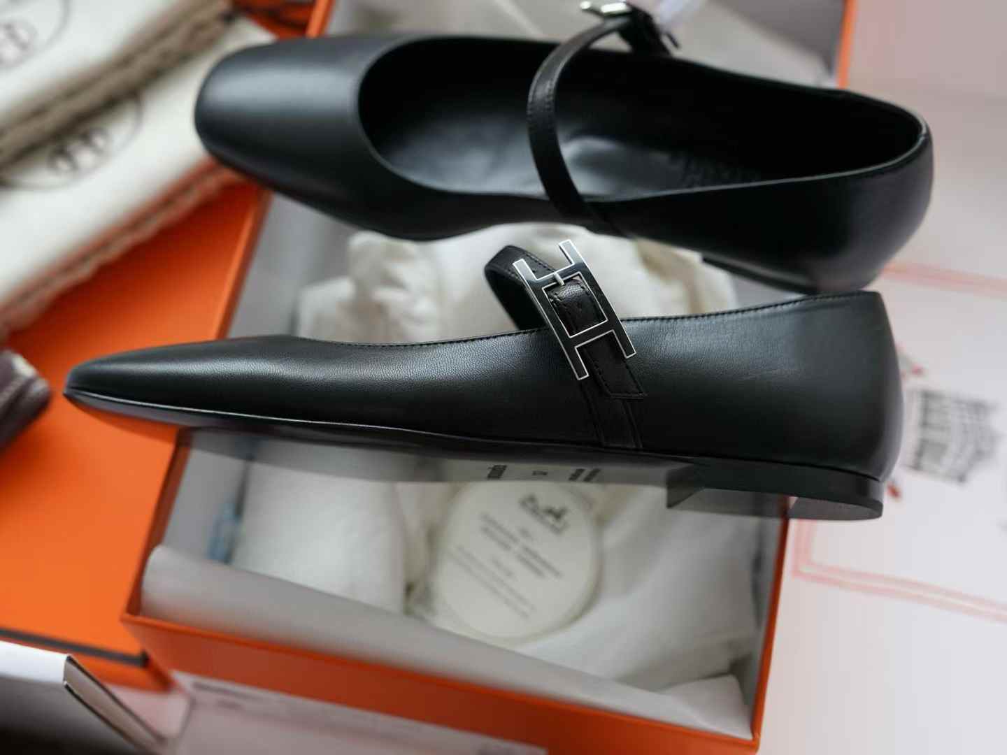 Hermès Ballet shoes view 4