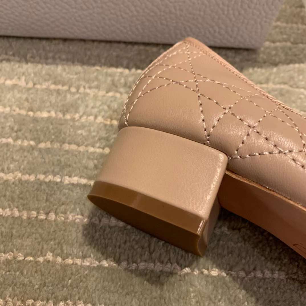 Dior Ballet Pump view 15