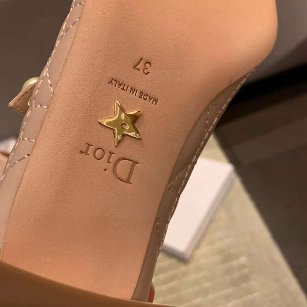 Dior Ballet Pump view 18