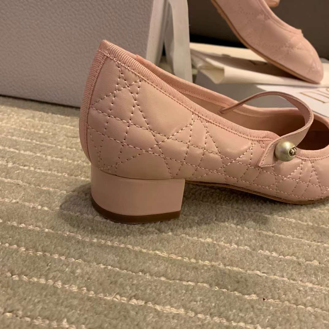 Dior Ballet Pump view 20