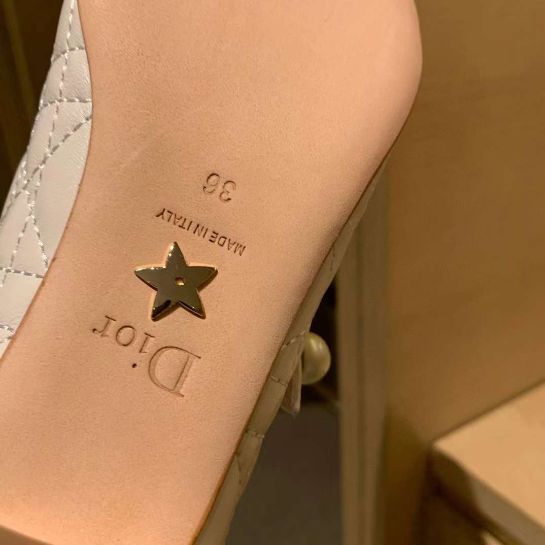 Dior Ballet Pump view 36
