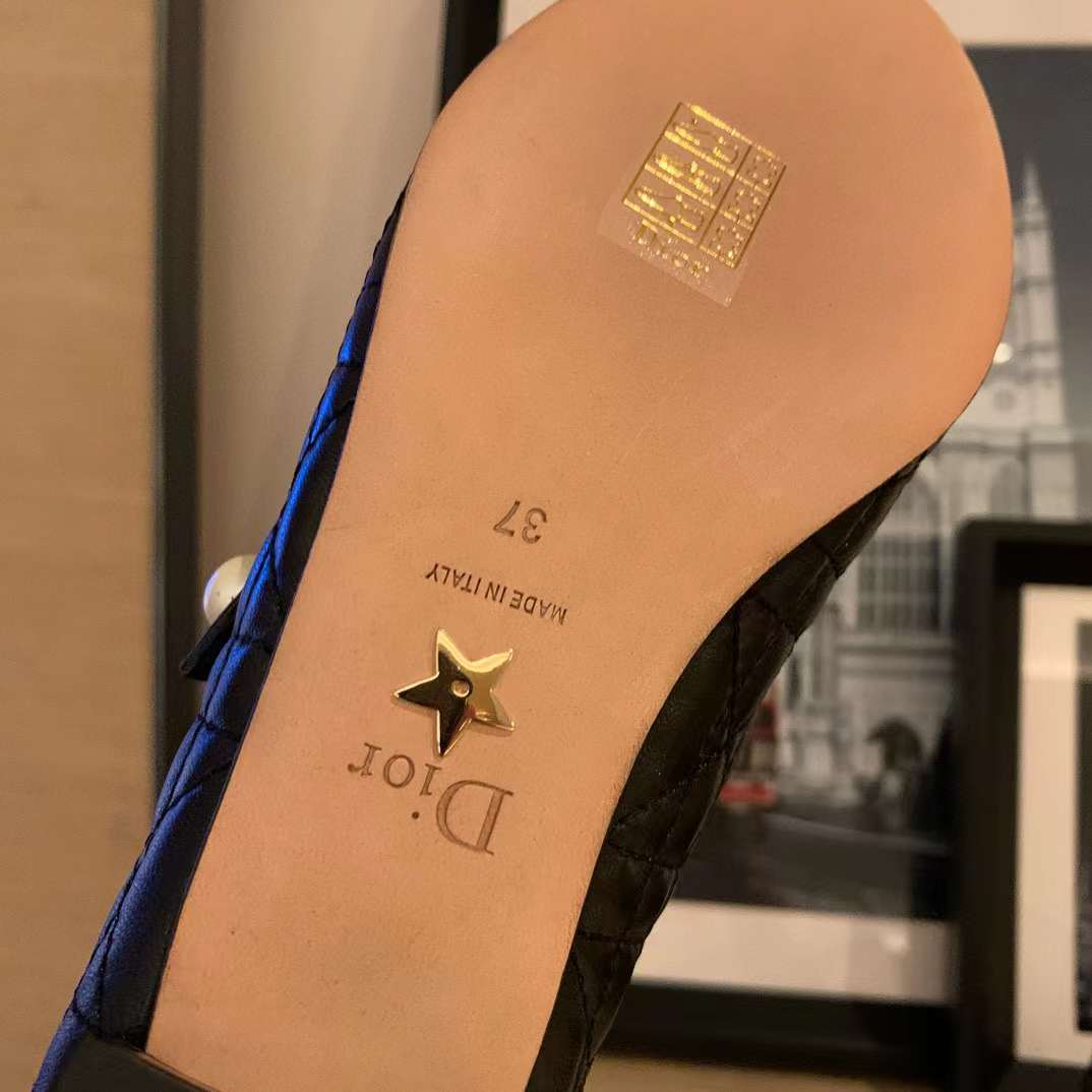 Dior Ballet Pump view 9