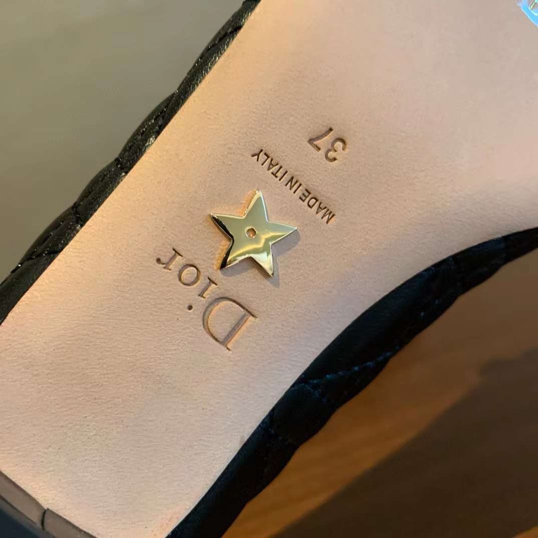Dior Ballet Pump view 17