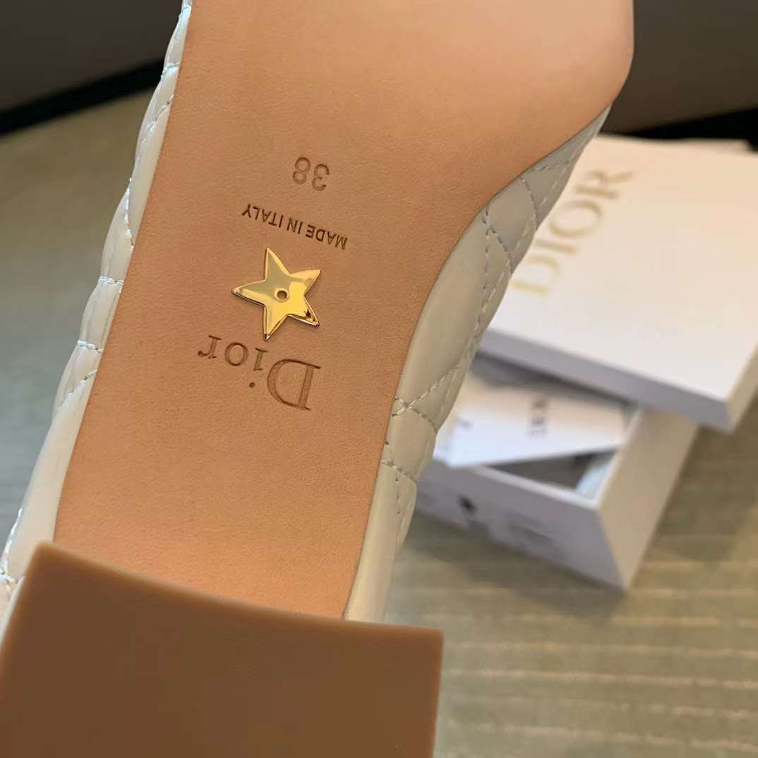 Dior Ballet Pump view 27