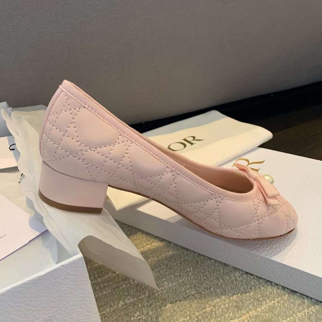 Dior Ballet Pump view 31
