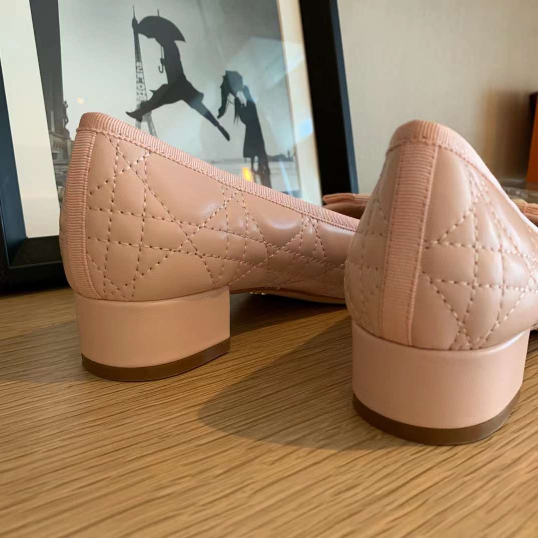 Dior Ballet Pump view 33