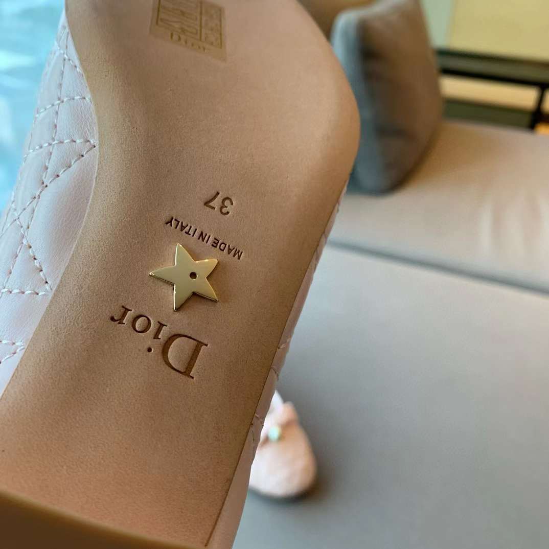 Dior Ballet Pump view 36
