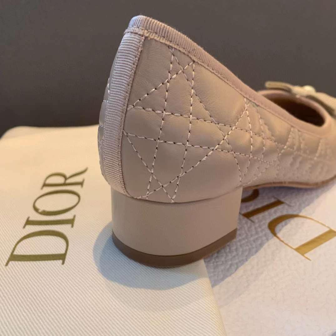 Dior Ballet Pump view 8