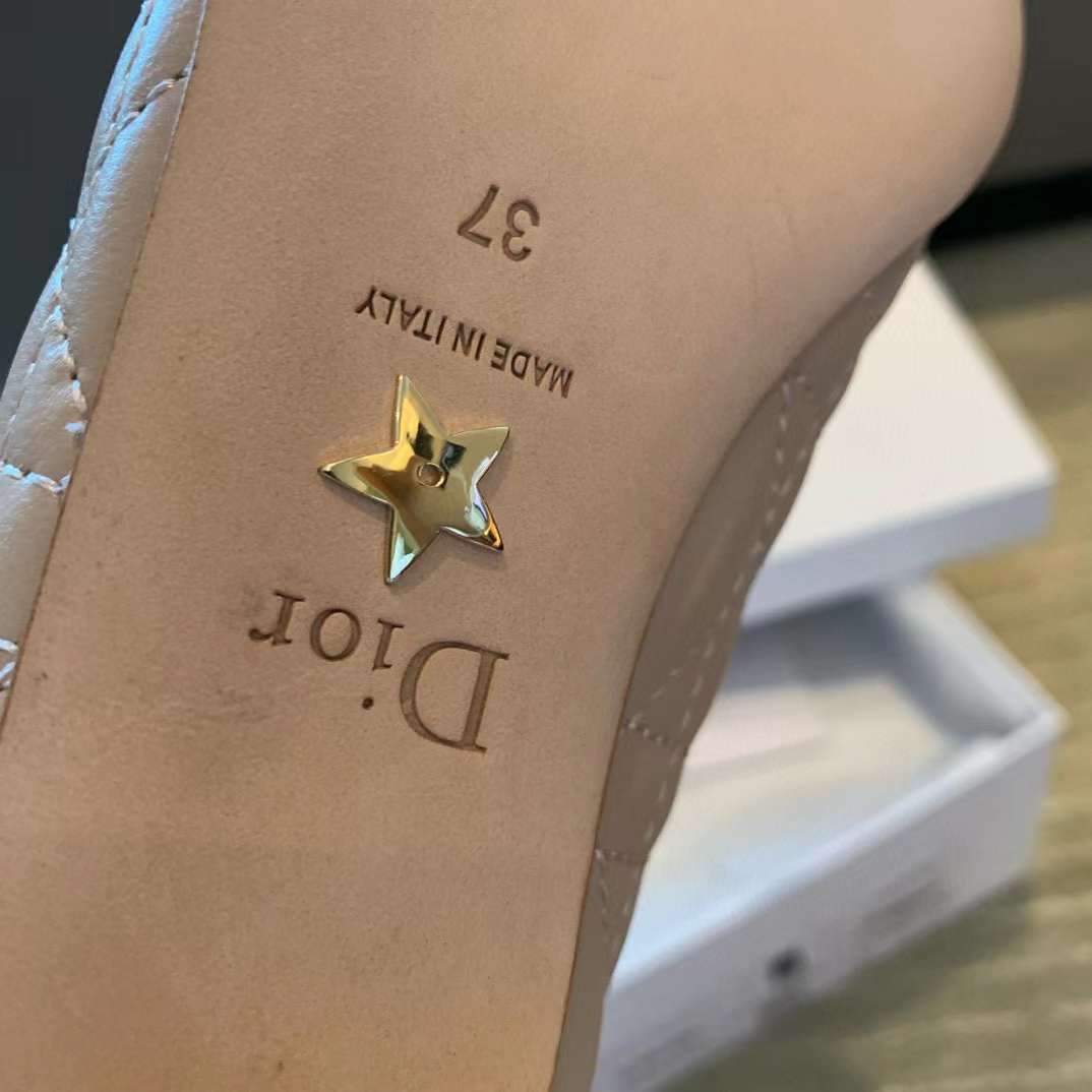 Dior Ballet Pump view 9