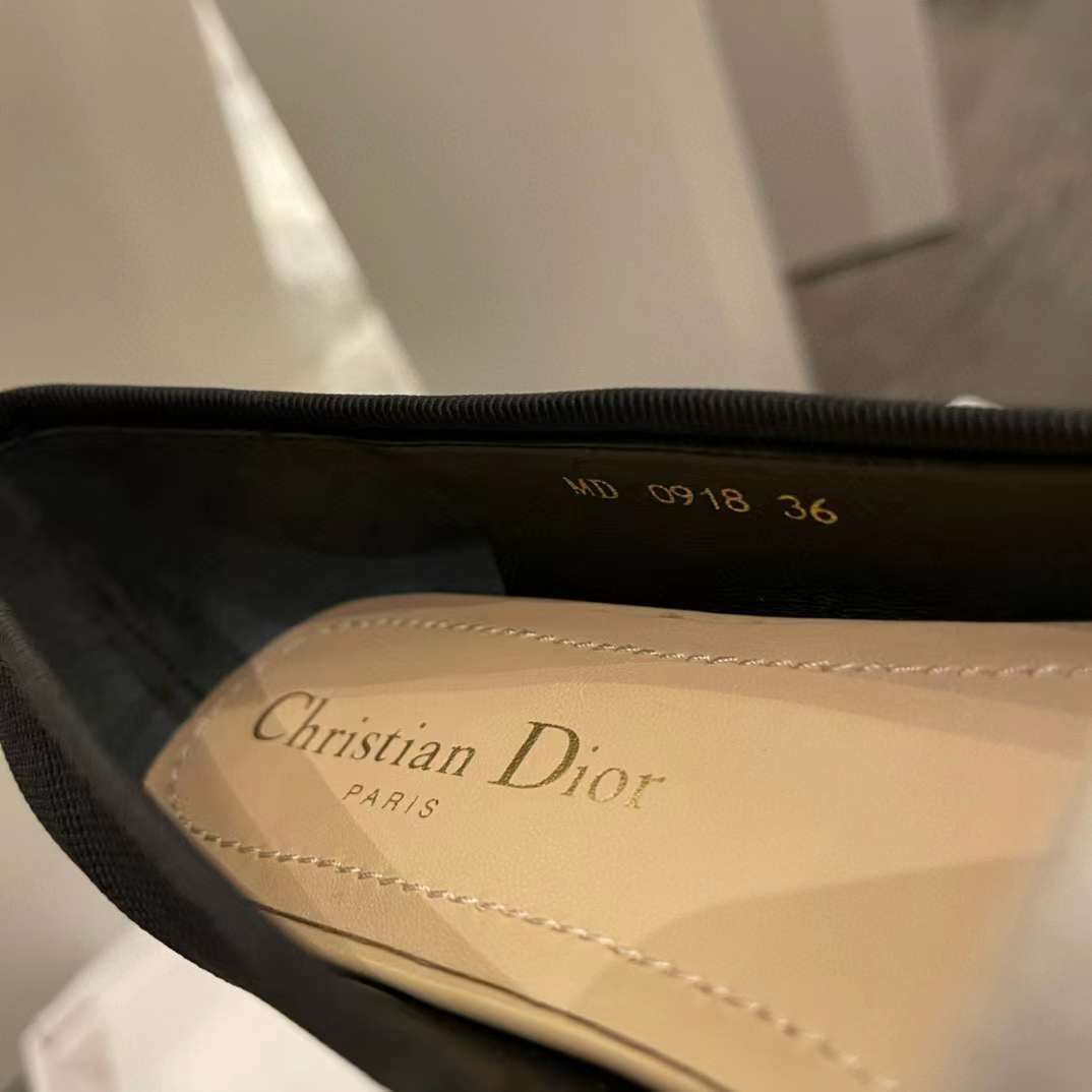 Dior Ballet Flat view 7